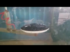 1/6 Màng Đĩa Máy Sục Khí Máy Khuếch Tán Đĩa Bong Bóng Mịn Để Xử Lý Nước Đường Kính 90*1000Mm